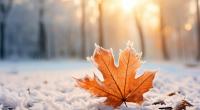 Bereits am Freitag könnte es die ersten Schneeflocken in Deutschland geben.
