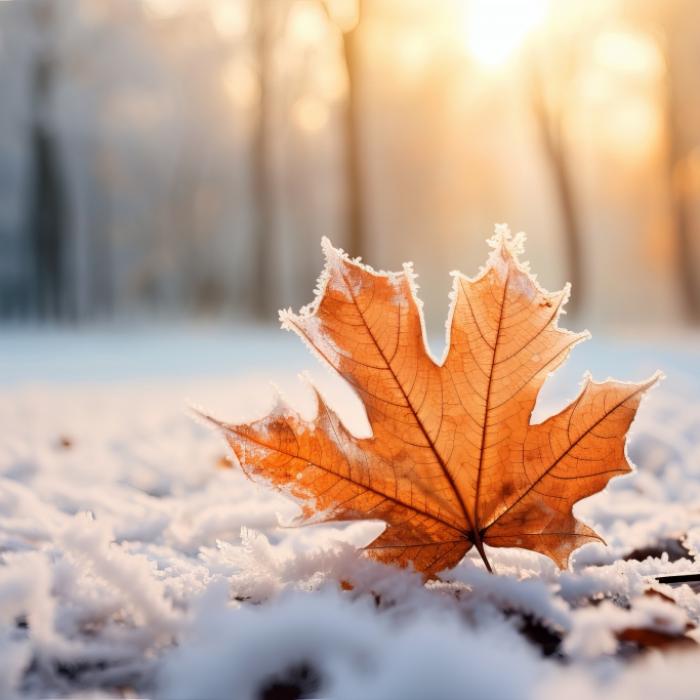 Sau-Wetter donnert an! Hier droht der erste Schnee