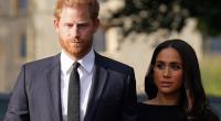 Dass die Sussexes bei Spotify im hohen Bogen rausgekickt wurden, soll nicht nur an Meghan Markles überschaubarer Arbeitsleistung, sondern auch an Prinz Harrys wahnwitzigen Ideen gelegen haben.