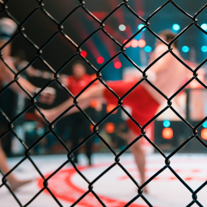 WM-Fight im Federgewicht! So lief der Mega-Kampf
