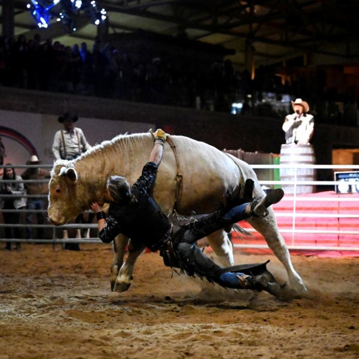 Rodeo-Horror: 20-Jähriger stirbt einen Tag vor seinem Geburtstag