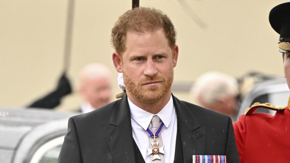 Prinz Harrys Ghostwriter packte &uuml;ber die Zusammenarbeit mit dem Royal aus. (Foto)