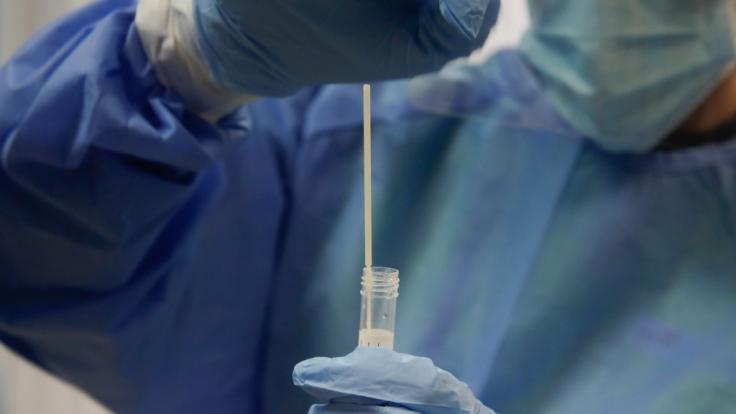 Macht das Coronavirus tatsächlich unfruchtbar?