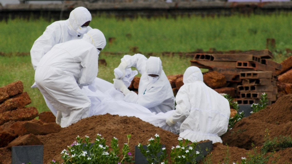 Der Nipah-Virus ist in Indien ausgebrochen. (Foto)