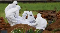 Der Nipah-Virus ist in Indien ausgebrochen.