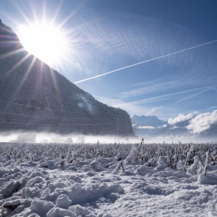 Faszinierend! Plötzlich sind da zwei Sonnen neben der Sonne!