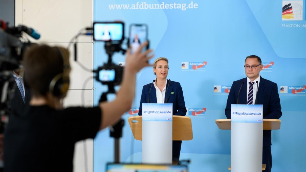 Due AfD-Fraktionsvorsitzenden Alice Weidel und Tino Chrupalla d&uuml;rfen sich erneut &uuml;ber starke Umfragewerte f&uuml;r ihre Partei freuen. (Foto)