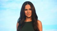 Meghan Markle wirkte wie ein Roboter. Was steckt dahinter?