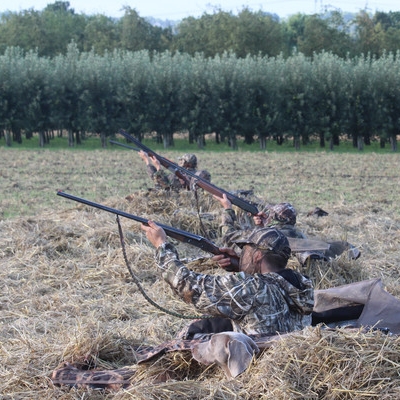 Jäger bei Treibjagd tot aufgefunden