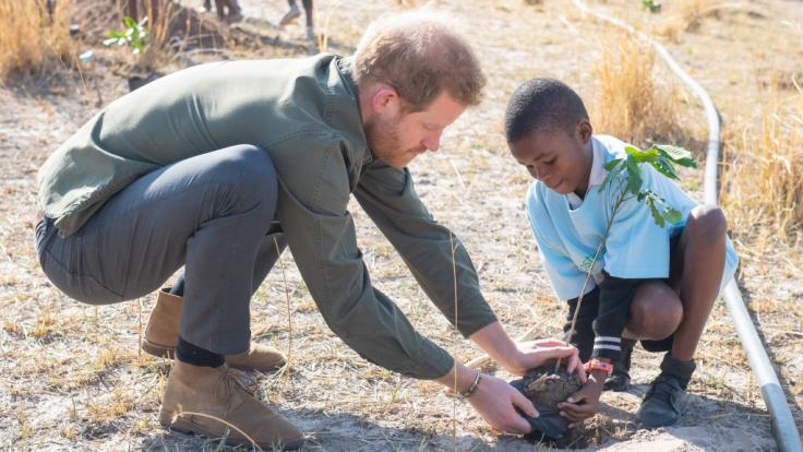 Im Rahmen seines derzeitigen Südafrika-Trips, befindet sich Prinz Harry derzeit in Botswana.
