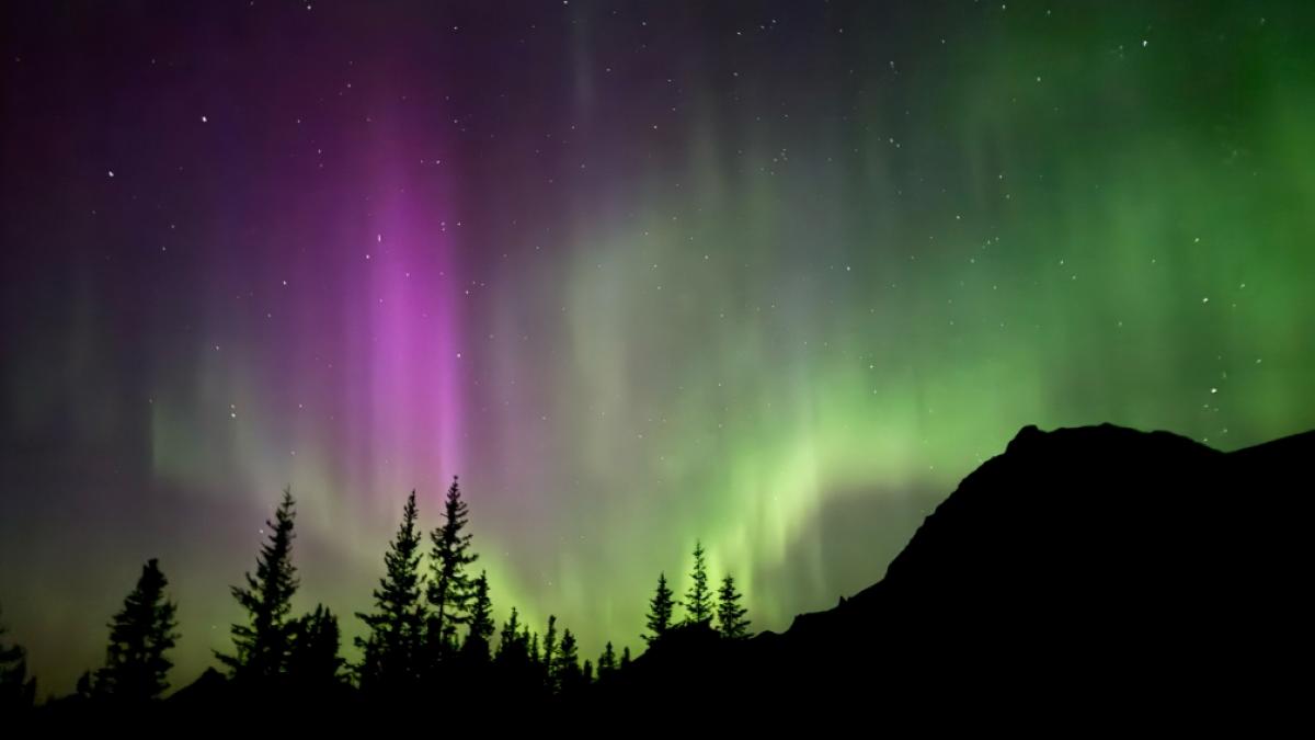 Am 25.03.2025 sind Polarlichter &uuml;ber Deutschland m&ouml;glich. (Foto)