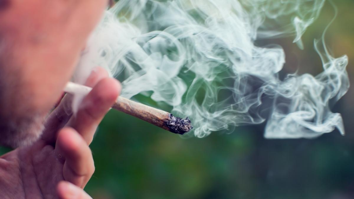 Der Besitz von Cannabis soll in Deutschland legalisiert werden. (Symbolbild) (Foto)