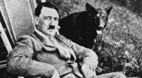 Hitlers normale Stimme klingt völlig anders.