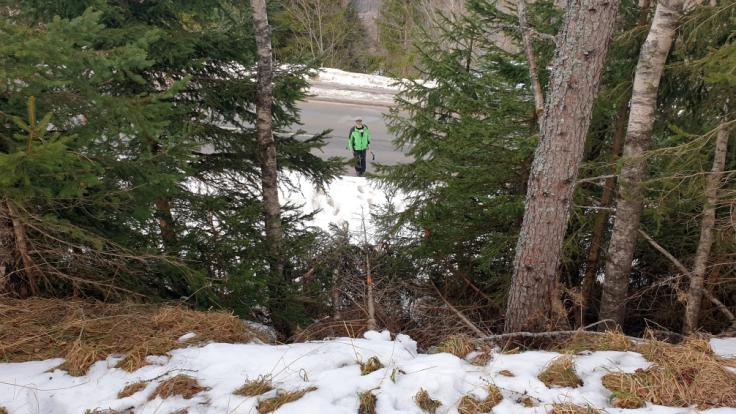 Eine junge Frau ist beim Rodeln in Schladming tödlich verunglückt (Symbolbild).