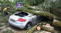 Ein heftiges Unwetter hat in Teilen Bayerns am Dienstag für zahlreiche Einsätze von Polizei und Feuerwehr gesorgt.