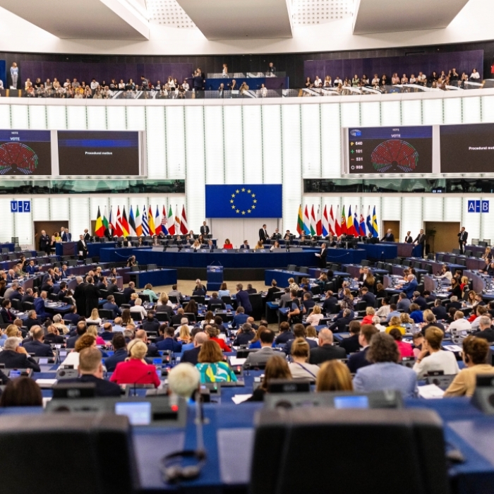 Initiative von PfE und Linken scheitert mit großer Mehrheit im Europaparlament
