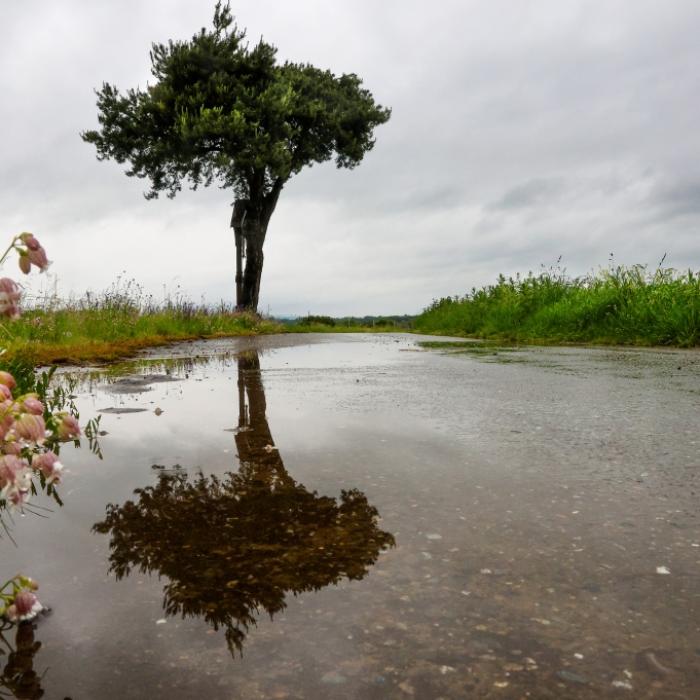 Nach Frühlingshitze-Hammer: Kommen jetzt Regenfluten und Schnee?