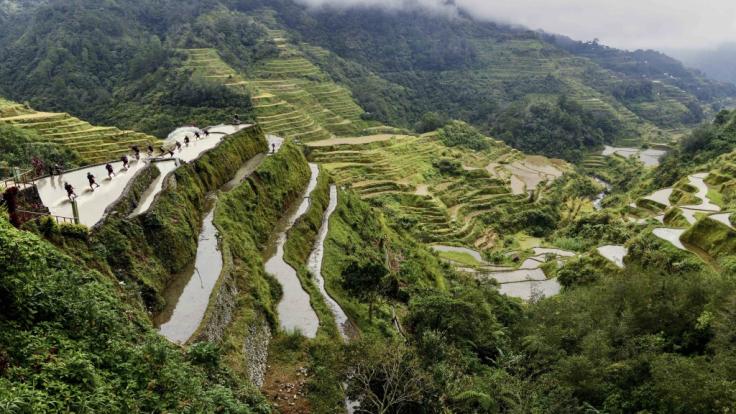Die Reisterrassen der Ifugao auf Luzon.