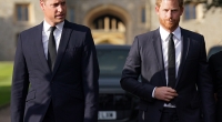 Hatte Prinz William in seiner Kindheit große Vorteile im Vergleich zu Prinz Harry.