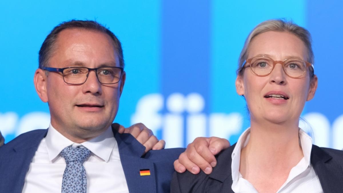Die AfD erlebt das gr&ouml;&szlig;te Umfrage-Minus seit fast zwei Jahren. (Foto)
