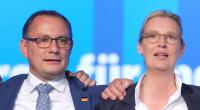 Die AfD erlebt das größte Umfrage-Minus seit fast zwei Jahren.