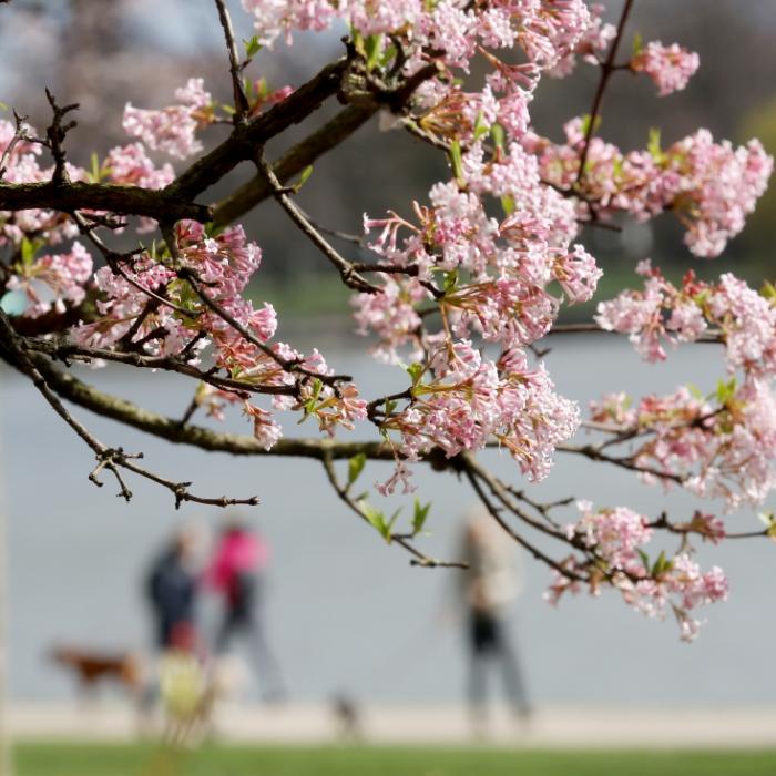 Das Wetter zum kalendarischen Frühlingsbeginn