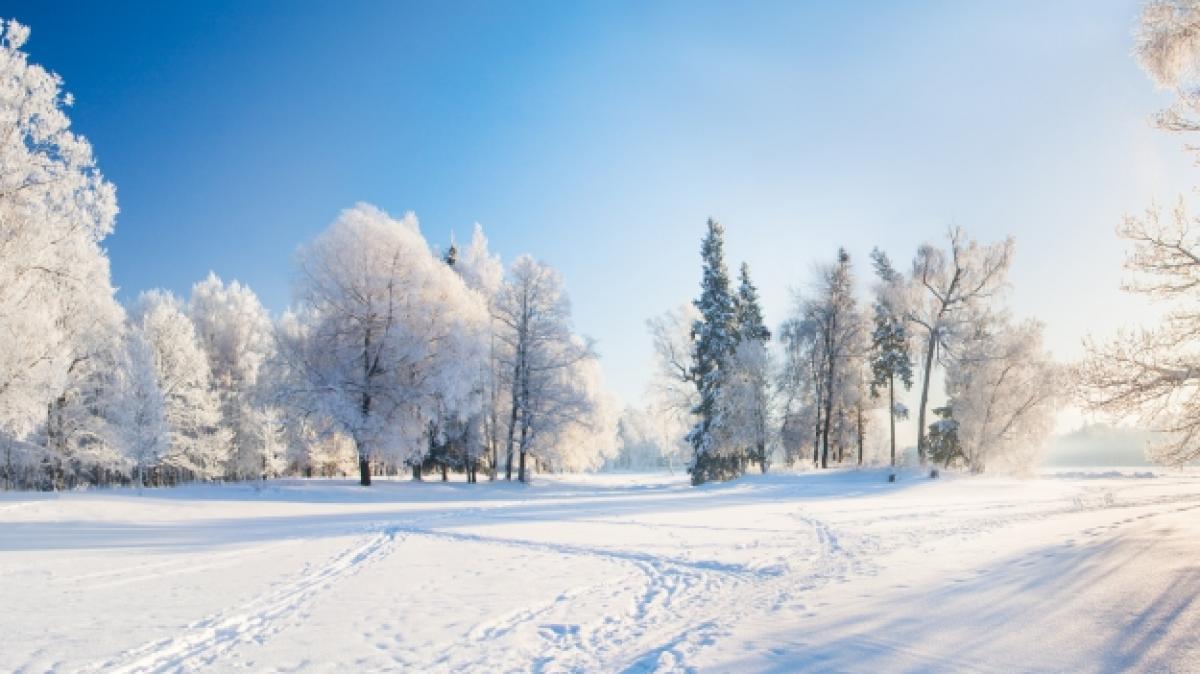 Bricht bald der Winter &uuml;ber Deutschland ein? (Foto)