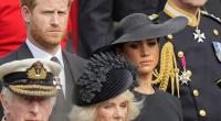 Für Prinz Harry ist Königin Camilla das personifizierte Böse.