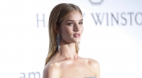 Rosie Huntington-Whiteley sorgt in letzter Zeit mit einigen heißen Schnappschüssen für Aufsehen.