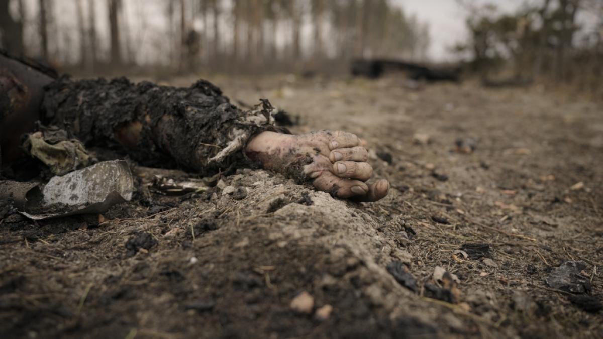 300 Soldaten tot, verwundet oder vermisst, unz&auml;hlige Milit&auml;rfahrzeuge pulverisiert - eine verheerende Offensive der russischen Armee im S&uuml;den der Ukraine hat die &uuml;berlebenden Soldaten zu einem Wut-Brief veranlasst (Symbolfoto). (Foto)