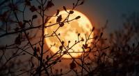 Der Vollmond im Oktober wird auch 