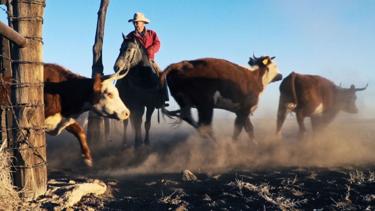 USA - Noch immer Cowboys bei Arte