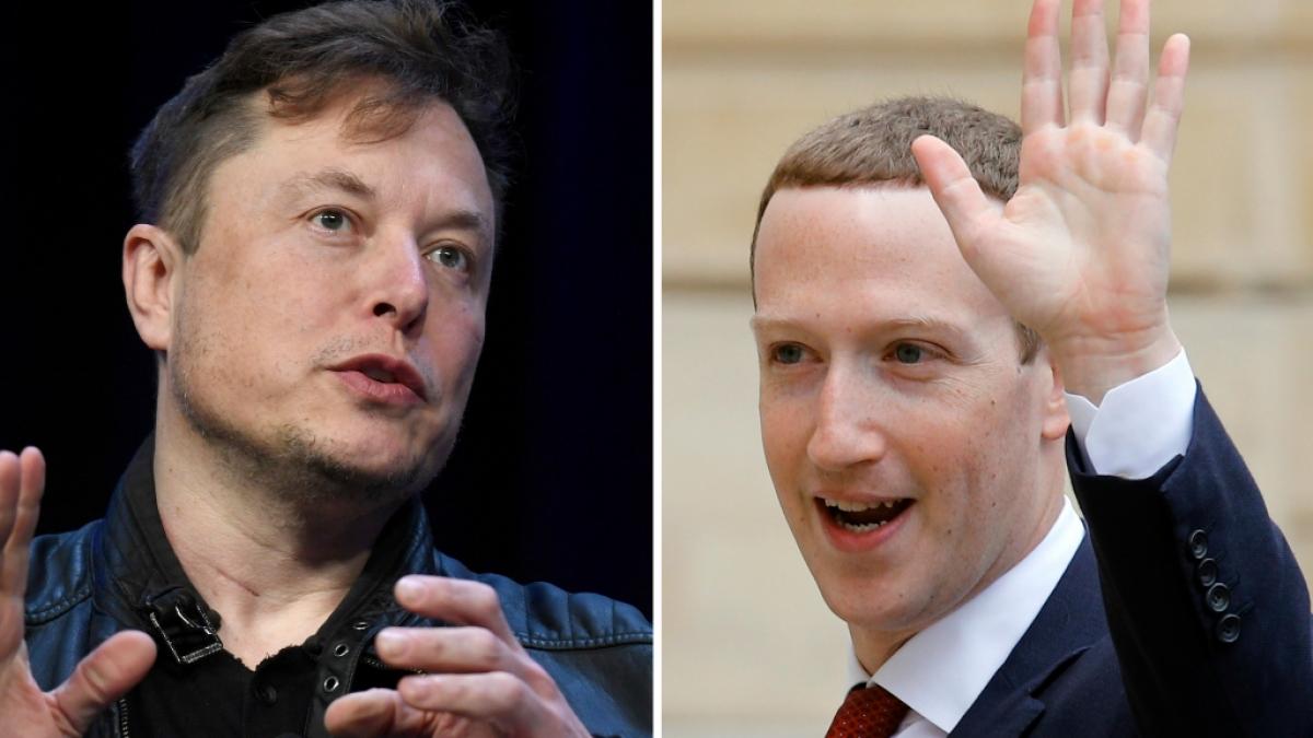 Elon Musk m&ouml;chte in Italien gegen Mark Zuckerberg k&auml;mpfen. (Foto)