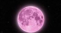 Im April wartet neben einem rosa Vollmond auch der Sternschnuppenstrom der Lyriden auf.