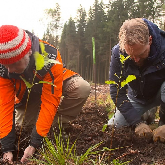 Wiederholung der Naturdoku im TV und online