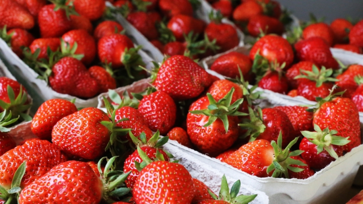 Diese Erdbeeren sehen zum Anbei&szlig;en aus! (Foto)