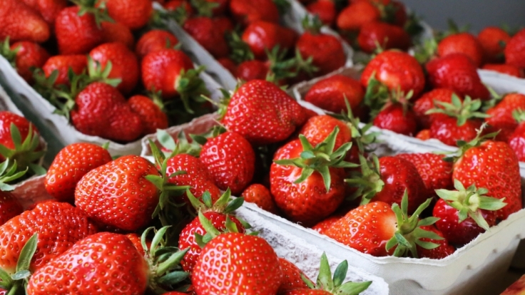 Diese Erdbeeren sehen zum Anbeißen aus!