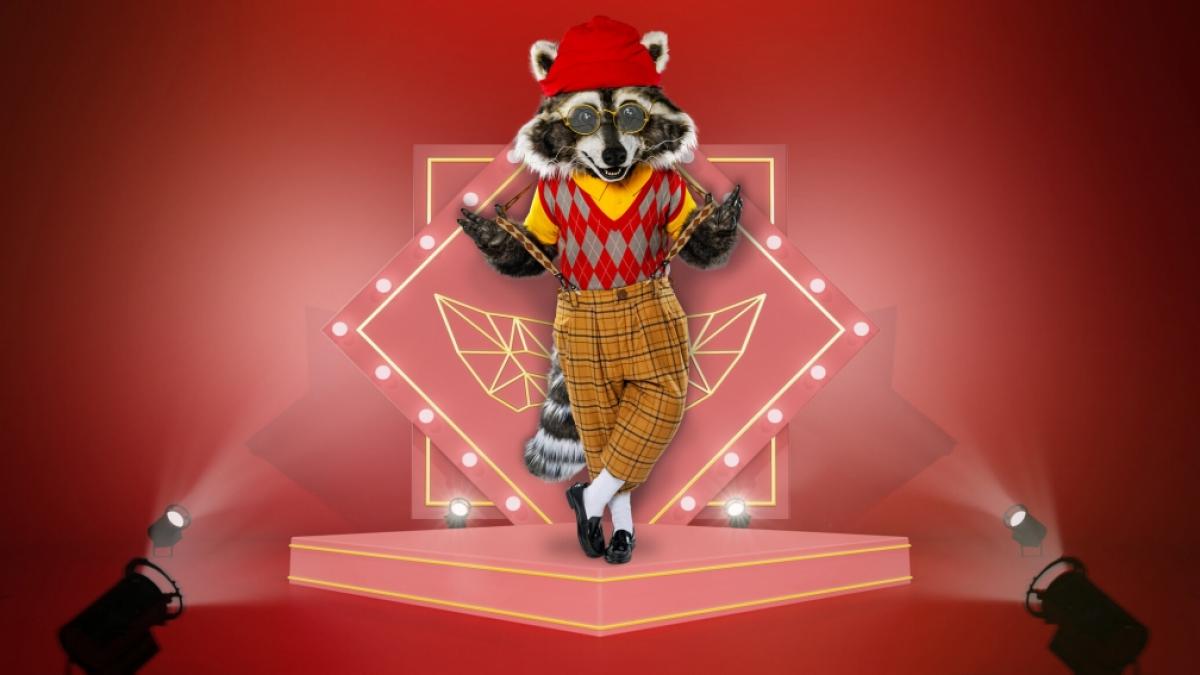 Ein echter Saubermann und modebewusst bis in die Fellspitzen: Der Waschb&auml;r hat bei "The Masked Singer" 2023 seinen gro&szlig;en Auftritt. (Foto)