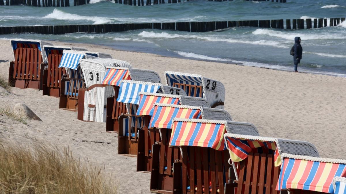 Wo Urlauber am Nordsee- oder Ostseestrand die Seele baumeln lassen, f&uuml;hlt sich der schwarzblaue &Ouml;lk&auml;fer ebenfalls pudelwohl. (Foto)