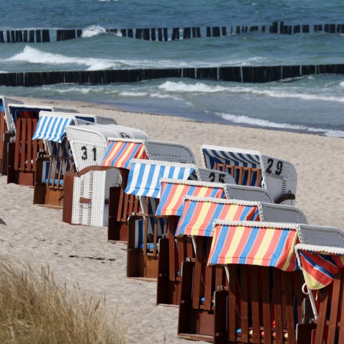 Fieser Giftkäfer treibt Unwesen an Nord- und Ostsee