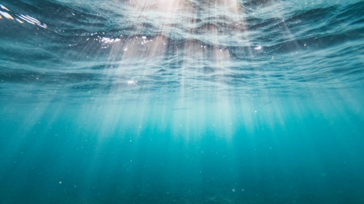 In britischen Seen haben winzige Kreaturen die Badeg&auml;ste gebissen. (Symbolfoto) (Foto)