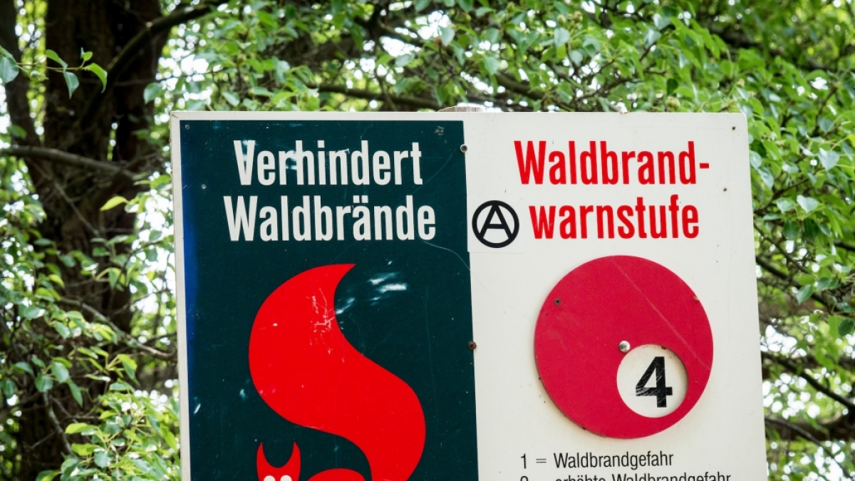 Die Waldbrandgefahr ist aktuell in vielen Teilen Deutschlands erh&ouml;ht. (Foto)