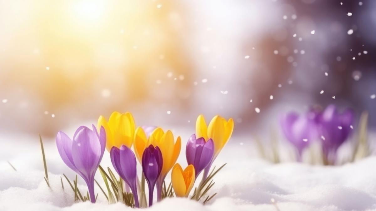 Droht uns ein M&auml;rzwinter? (Foto)