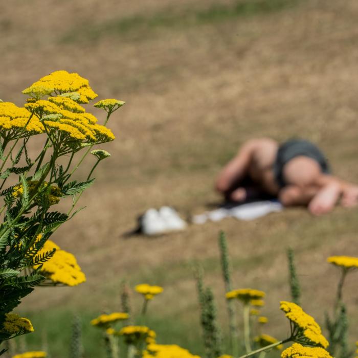 Wetterdienst schlägt Alarm – diese 200 Regionen trifft die größte Hitze