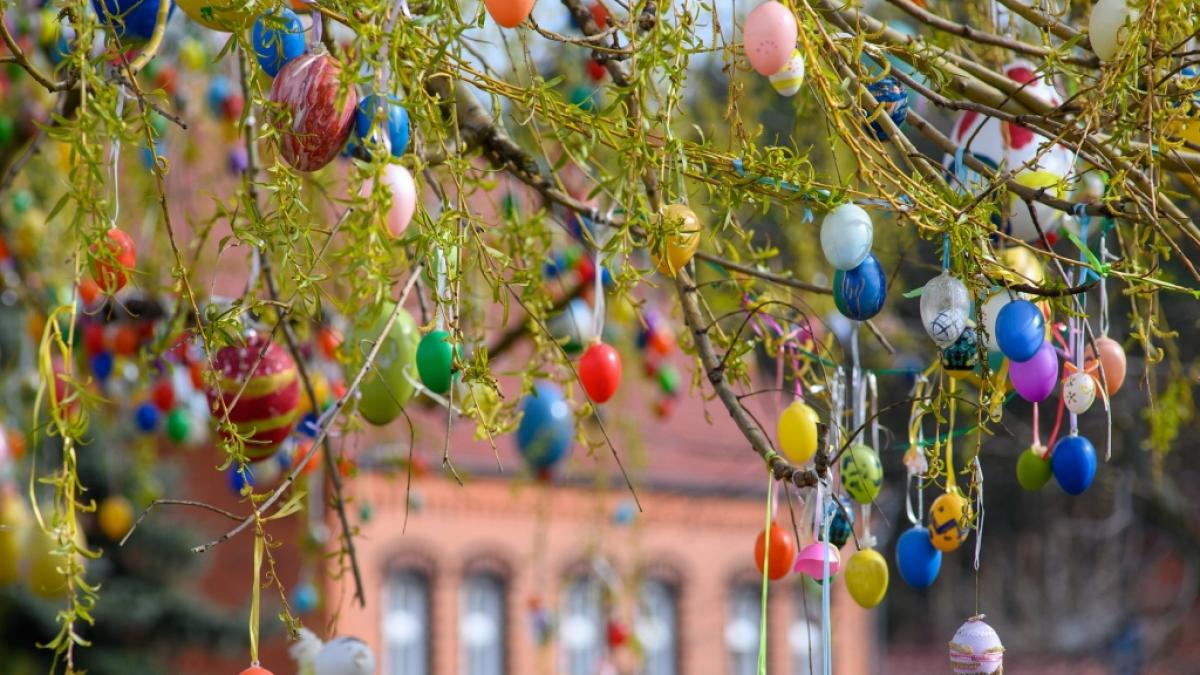 Ostern hat als christliches Fest zahlreiche regionale Traditionen hervorgebracht. Hier h&auml;ngen unz&auml;hlige Ostereier an einem Osterbaum. (Foto)