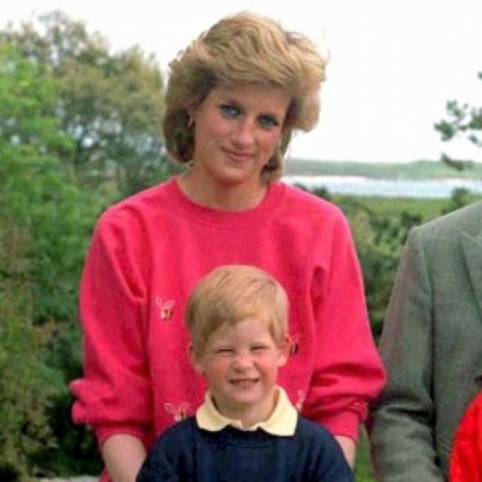 Royale Hellseherin sicher! Lady Di will Prinz Harry von Meghan erlösen