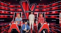 Um die Castingshow 
