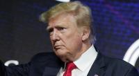 Auch in dieser Woche sorgte Donald Trump wieder für einige Schocker.