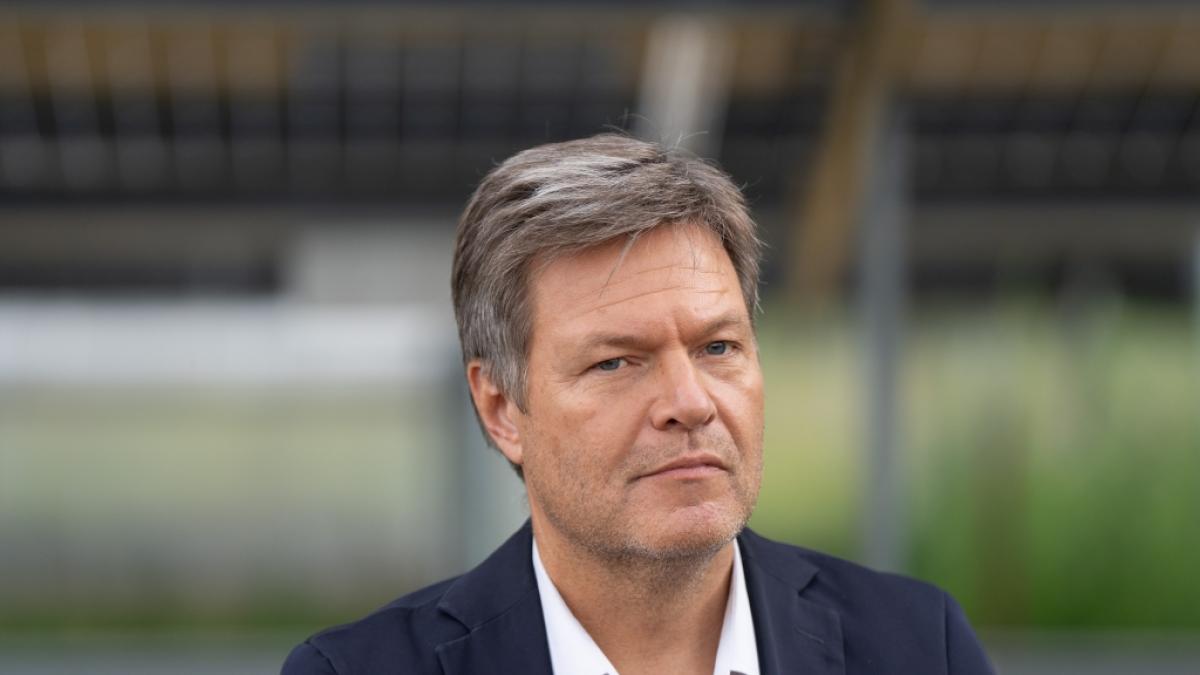 Droht Habecks Strompreis-Versprechen zu platzen? (Foto)