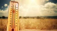 Ab der Wochenmitte sollen in Deutschland wieder sommerliche Temperaturen herrschen.